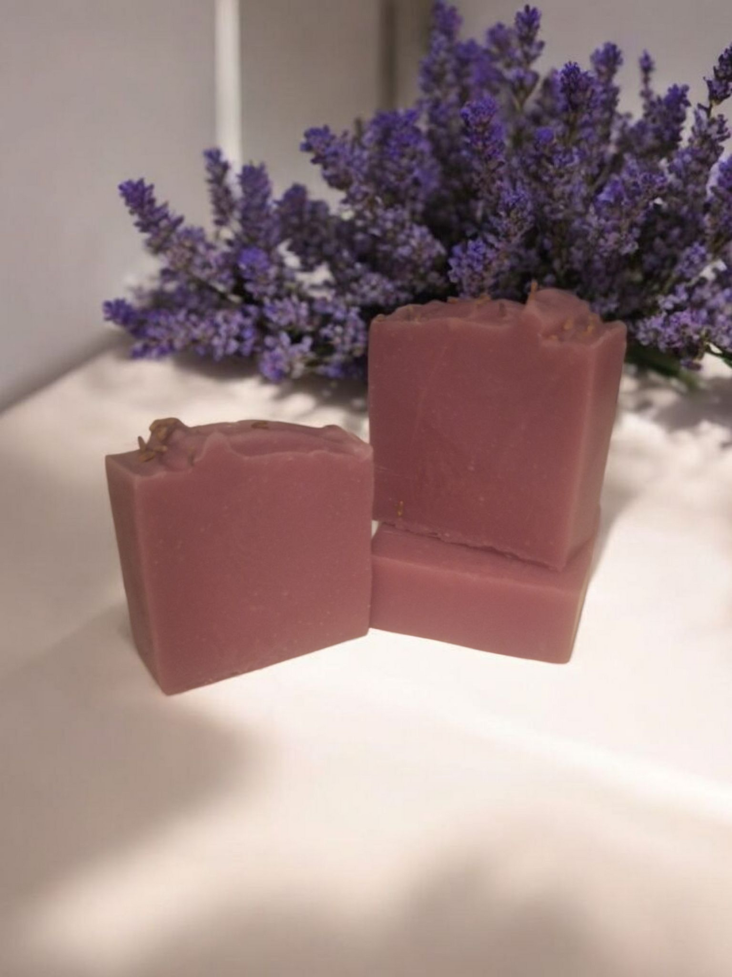 Lavanda